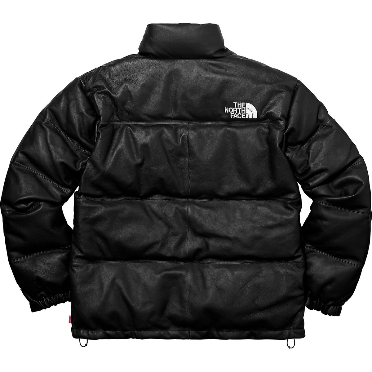 Supreme The North Face Leather Nuptse Jacket FW