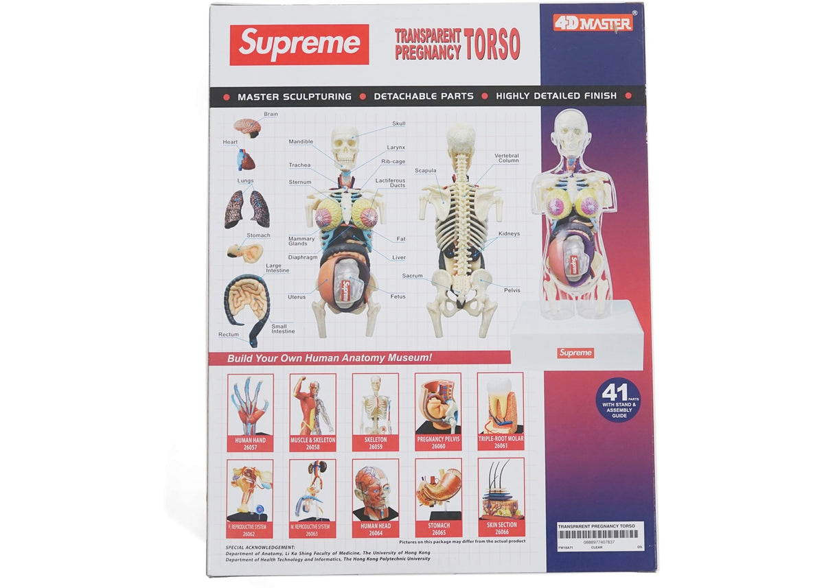 Supreme Female Anatomy Model Supreme 【公式通販】