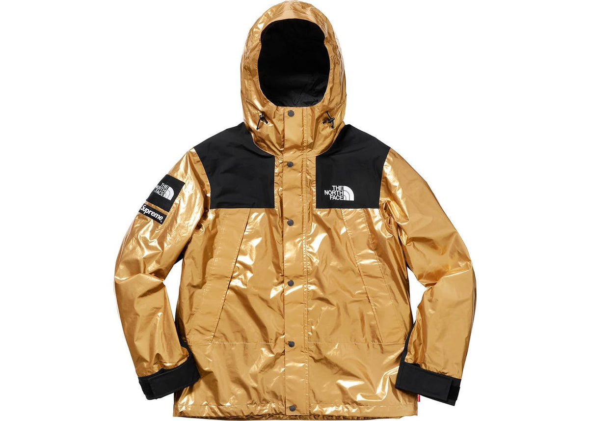 Supreme north face clearance metallic parka