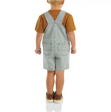 Carhartt Kids Shortall Set Stripe