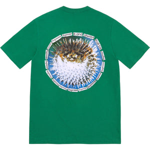 Supreme Blowfish Tee Pine