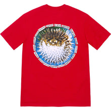 Supreme Blowfish Tee Red