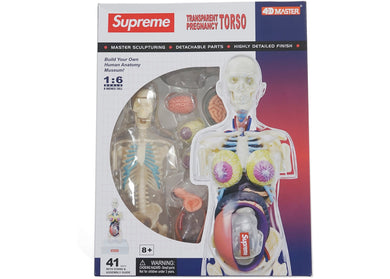 Supreme Female Anatomy Model Clear