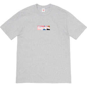 Supreme Emilio Pucci Box Logo Tee Grey/Pink